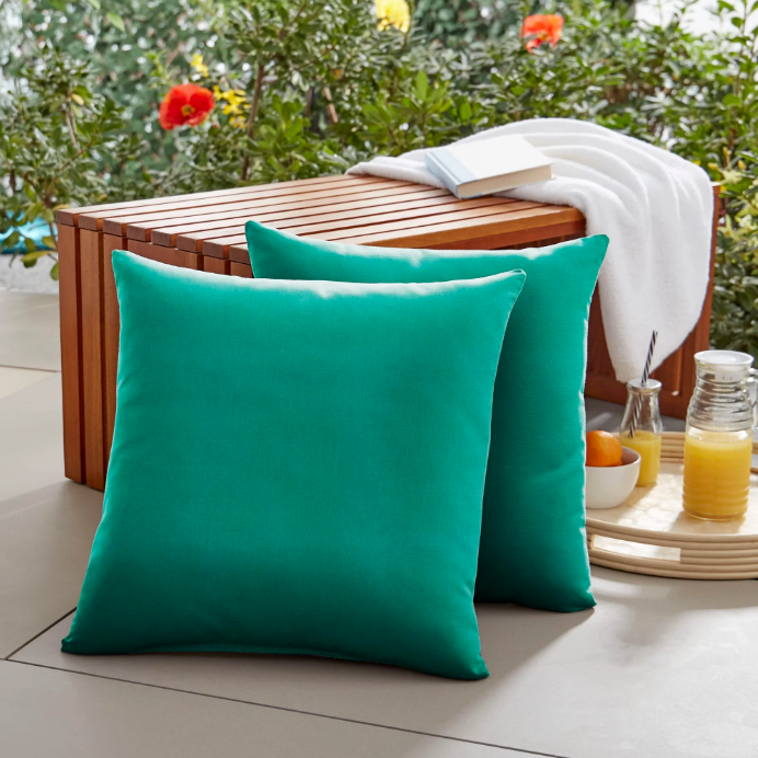 Sunbrella Canvas Teal Pillows with Premium Trillium Insert (Set of 2)