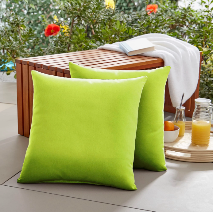 Sunbrella Canvas Macaw Pillows with Premium Trillium Insert (Set of 2)